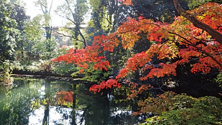 写真提供＝熊谷市教育委員会