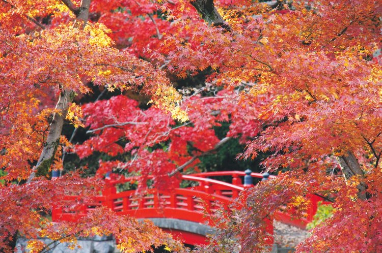 saitama29_08-DSC00123