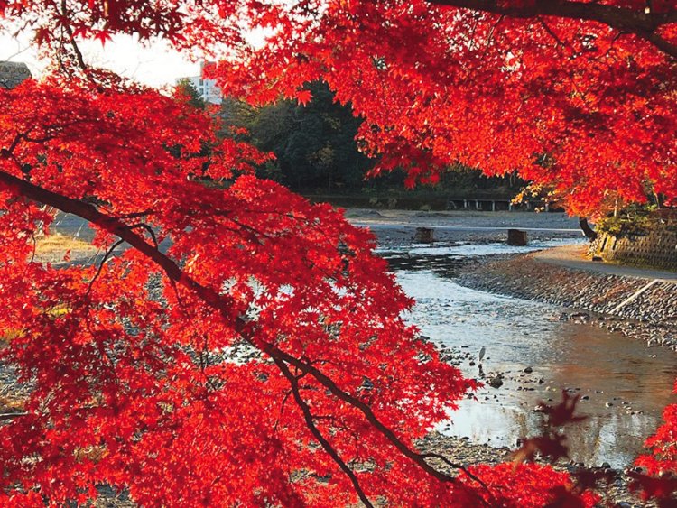 saitama17_202212-①