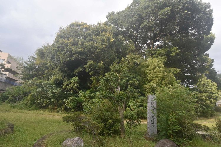 天守閣代わりの櫓が立っていた富士見櫓跡。