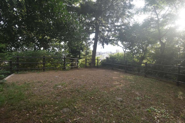 頂上は樹木に覆われていたが、隙間から川越の街並みが見えた。