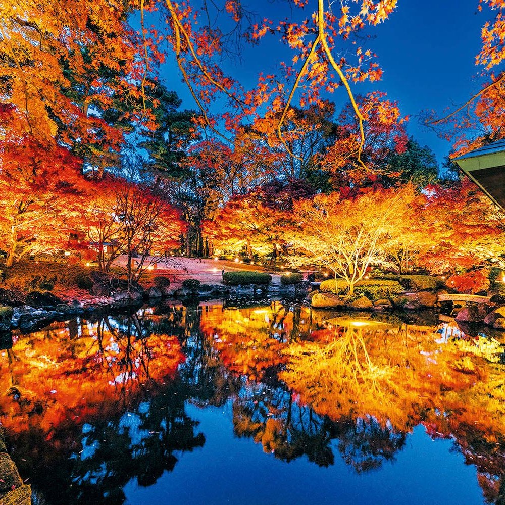 【2025年版】散歩の達人おすすめ紅葉スポット14選。東京近郊でおすすめの名所＆とっておきの穴場も！