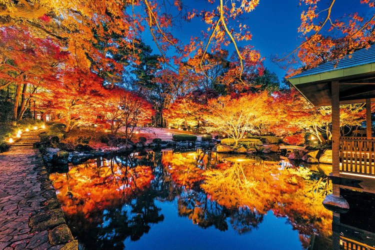 写真提供＝荻窪三庭園。