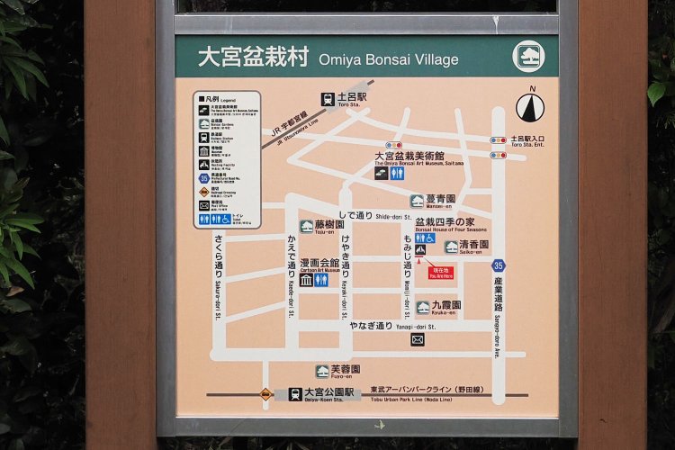 盆栽村は通りにそれぞれ、もみじやけやきなど樹木が植えられていて、通り名になっている。春は、さくら通りから見る宇都宮線の電車と桜の景色が人気とのこと。