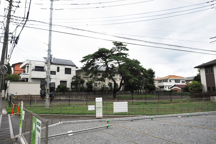 松の木がポツンと残っている不思議な光景に出くわしていたのだが、これも街のルールで切り落とさず残っているのかもしれない。