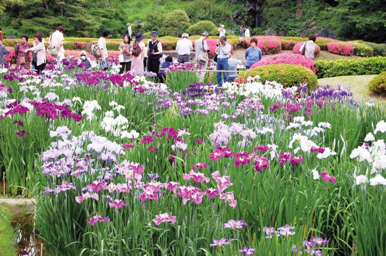 01_04_皇居東御苑 二の丸庭園