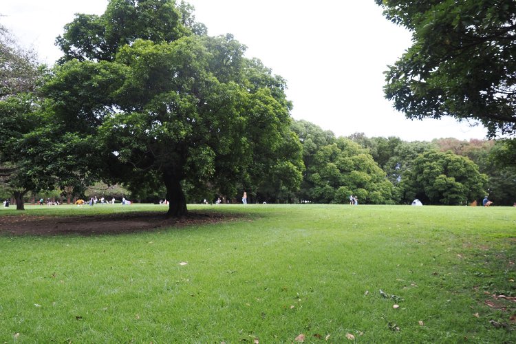 芝生広場ではたくさんのファミリーがのんびり過ごしていた。