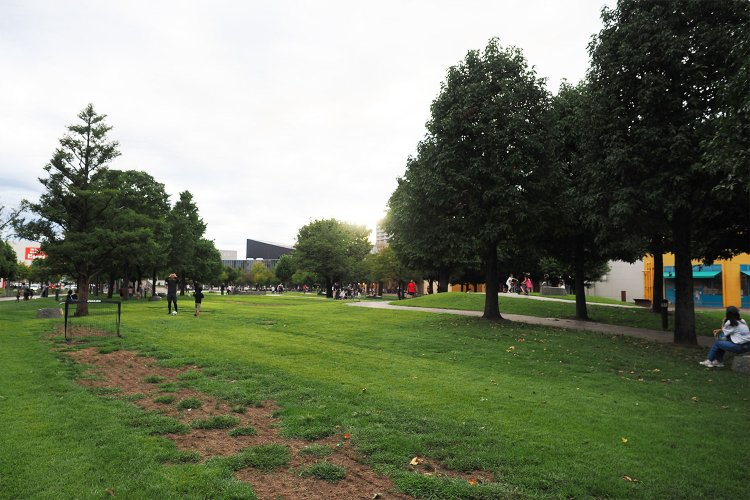 ここにも芝生広場が！　犬の散歩をしている人も多くにぎわっていた。