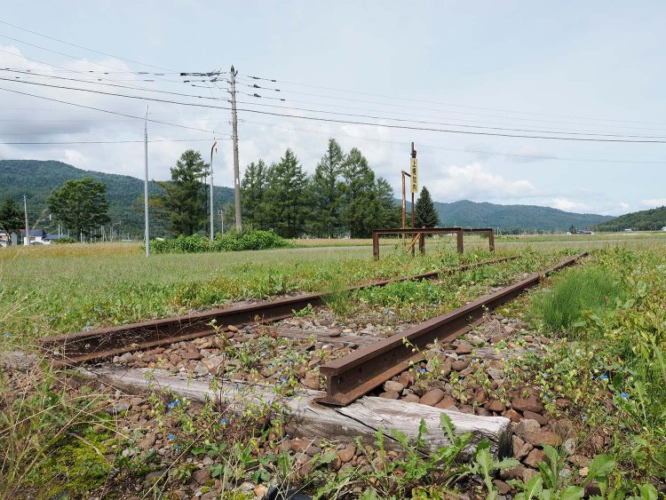 近づいてみるとレールは廃止時の状態のままであった。こんな細いレールの上をキハ53形などが走行していたのである。