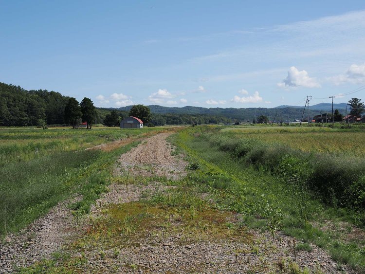 上多度志～多度志間の廃線跡は砂利道となっていた。