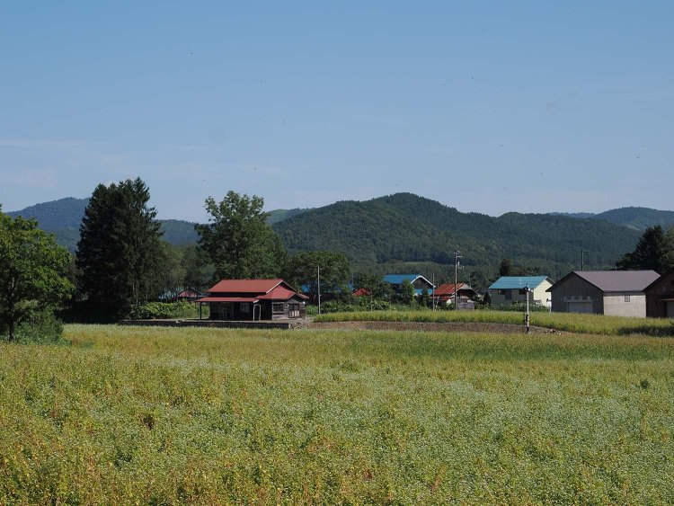 国道のほうから眺めると現役時代を彷彿とさせる光景に出会った。いまでもキハ53形がやってきそうだ。