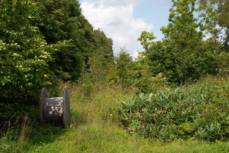 第三雨竜川橋梁を渡った先に存在した政和温泉駅跡を見る。正式な駅ではなく仮乗降場であった。左手に板張りのホームがあったのだが痕跡はない（2013年9月撮影）。