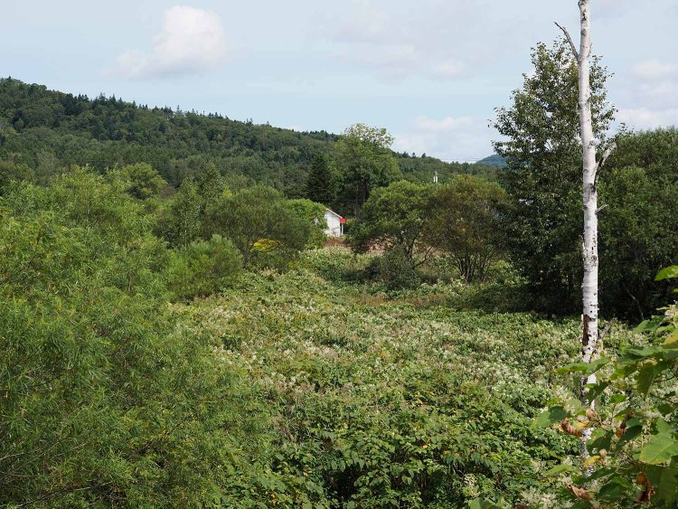 国道239号の跨線橋から添牛内駅跡を望む。ちらっと保存されている駅舎が見える。