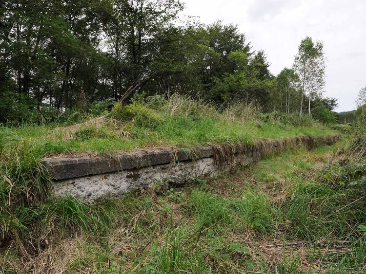 裏手には島式ホームが残っていた。近づくこともできるが足元に注意。蟻の巣があって痛い思いをするかもしれない。