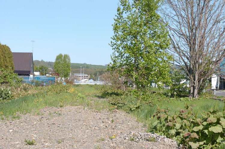 上写真の反対側、名寄駅方向の廃線跡。現在は川となっている。名寄市内中心部の廃線跡は人工の川と公園となった（2007年5月撮影）。