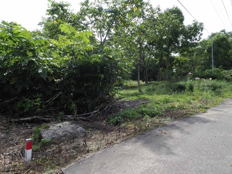 雨煙別駅跡付近の踏切跡。道路脇に警報機の土台が残っていた。