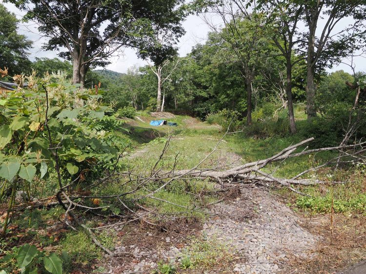 雨煙別駅跡付近の踏切跡から。路盤の痕跡が判別できた。バラストも残っている。