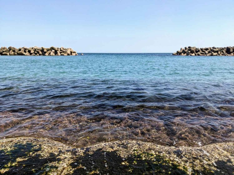 【酒場ナビ】里坊_6