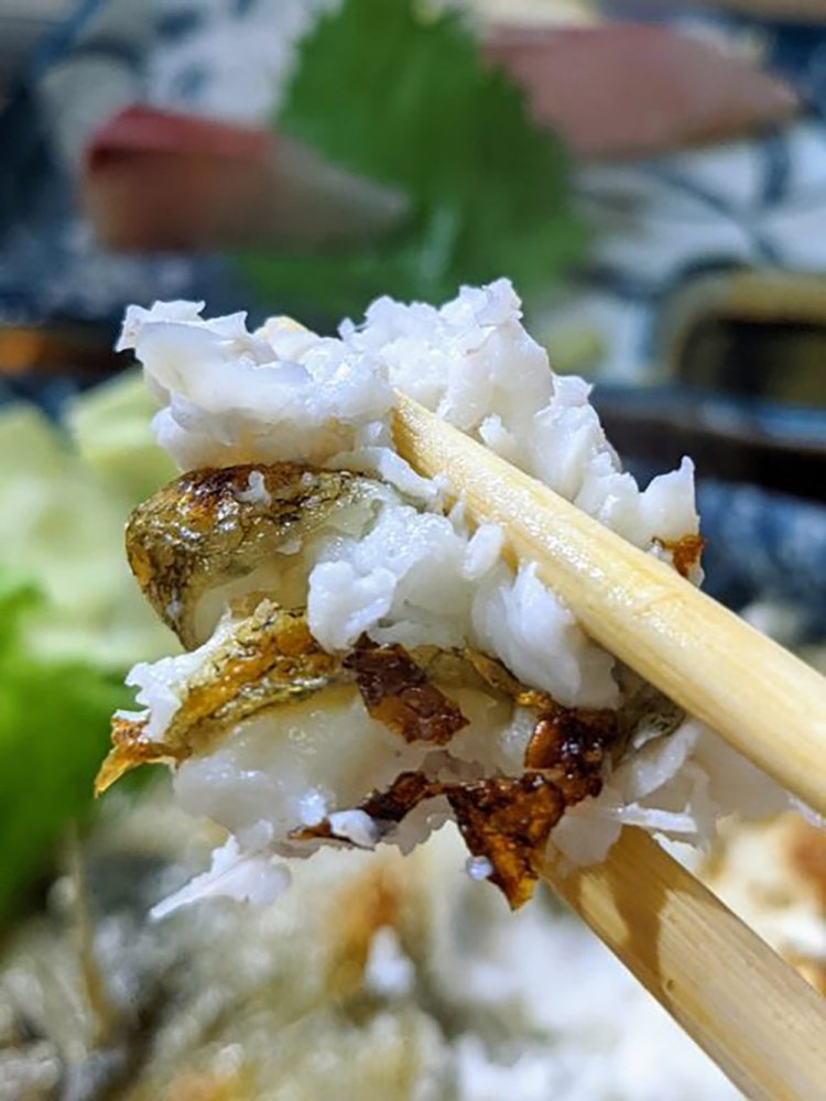 【酒場ナビ】里坊_24