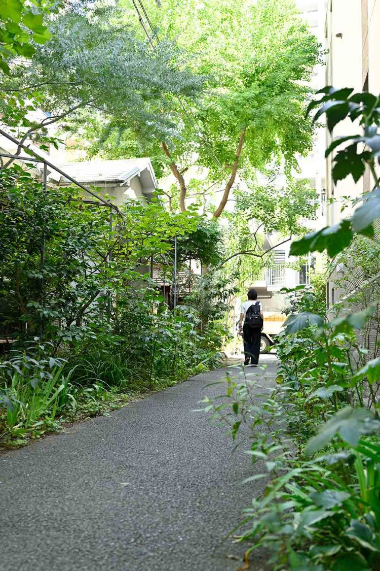 無作為なようで実は手入れが行き届いている緑に植木屋の技が光る。