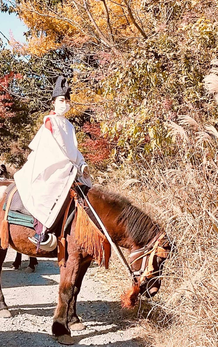 平安貴族なので馬で散歩をすることも。