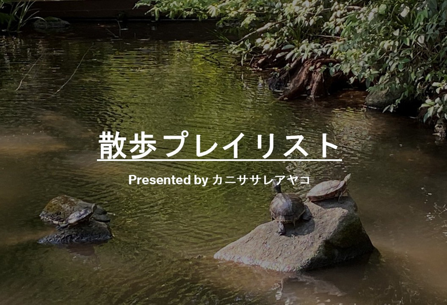 TOP画像作成中カニササレアヤコ