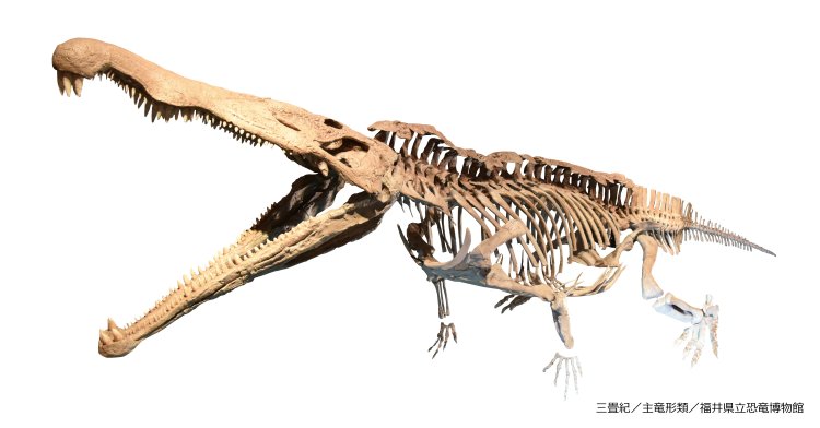 大絶滅はなぜ起きたのか!?　特別展「大絶滅展―生命史のビッグファイブ」が2026年2月23日まで『国立科学博物館』で開催中