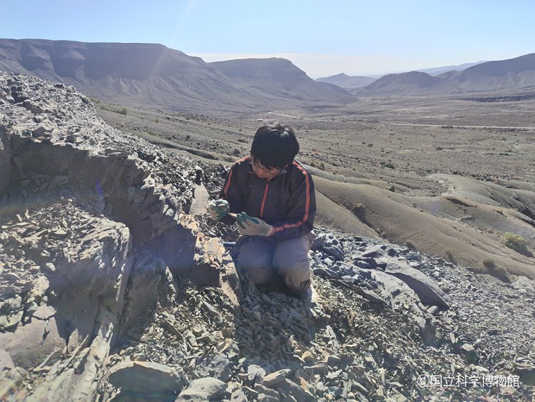 06_モロッコ発掘調査_クレジット入り