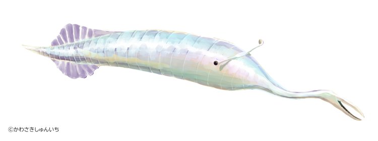 タリーモンスター復元画。