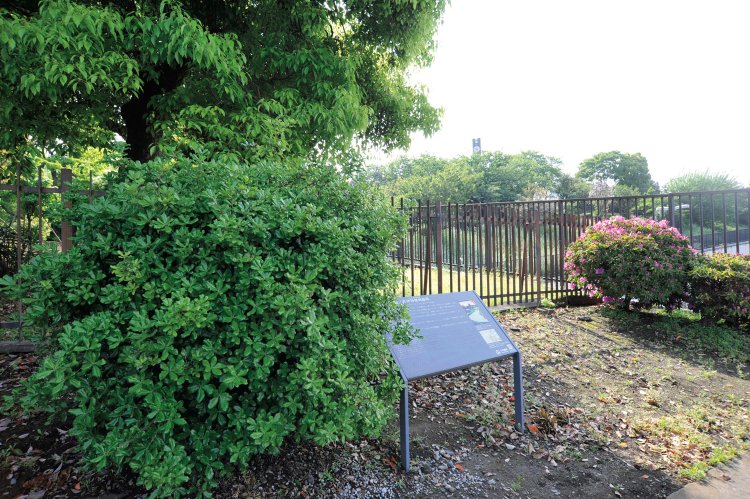 加藤清正邸・井伊掃部頭邸跡