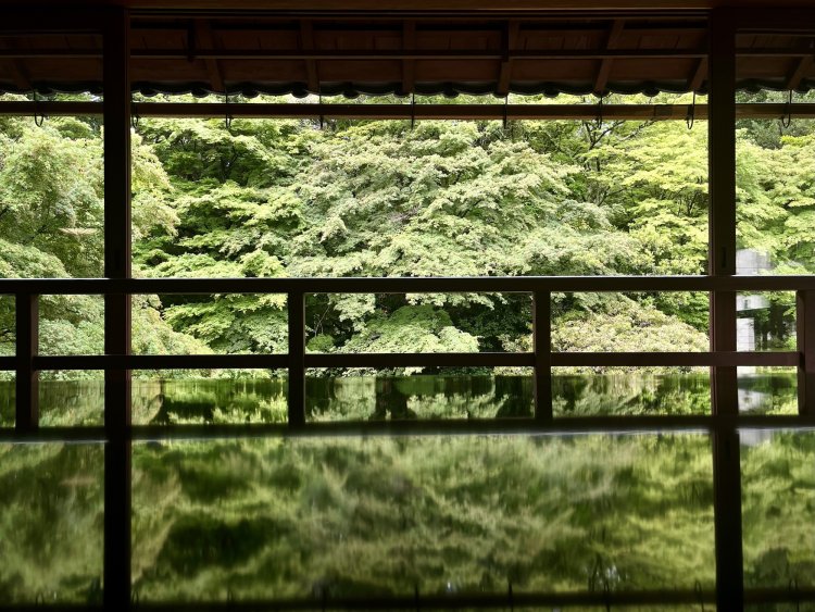 座卓を利用したリフレクション撮影ができると人気。