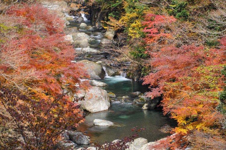 入浴を兼ねて訪れるのもいい奥山温泉近くの福士川渓谷の紅葉（写真提供＝南部町産業振興課）。