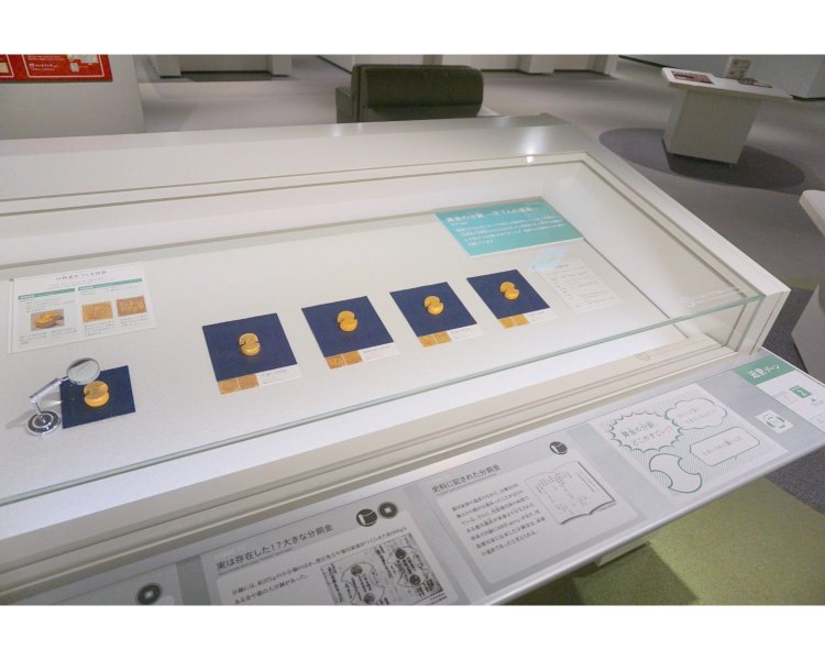 尾張徳川家に伝わっていた、桐紋と共に繊細な菊模様が打ち込まれた純度約95％の金の小分銅も見どころ（日露戦争時、正貨準備のために日本銀行が買い入れたものだという）。