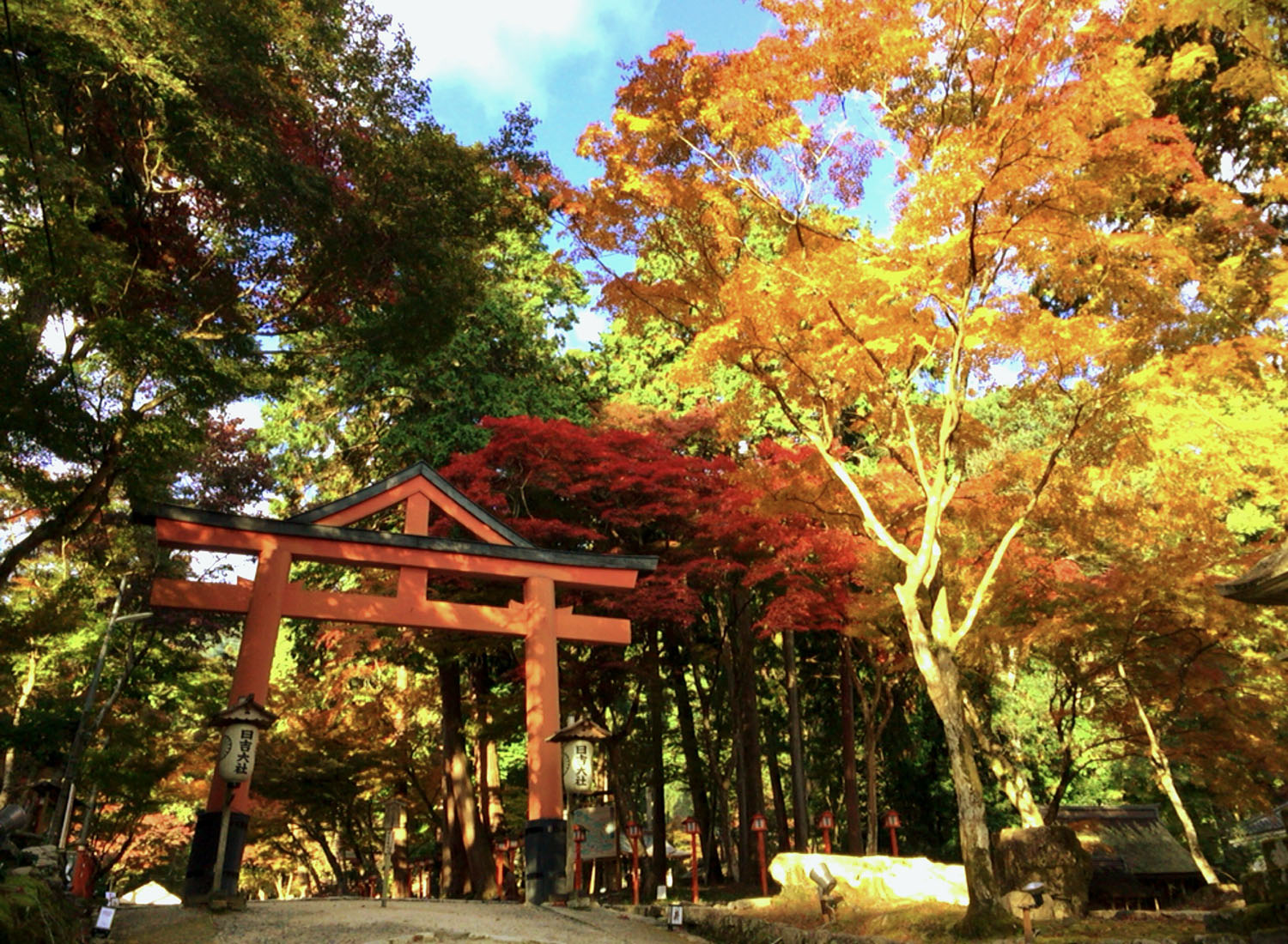 【滋賀・坂本】秋の旅におすすめ！ 比叡山の麓の門前町を歩く。坂本比叡山口駅から日帰りさんぽ