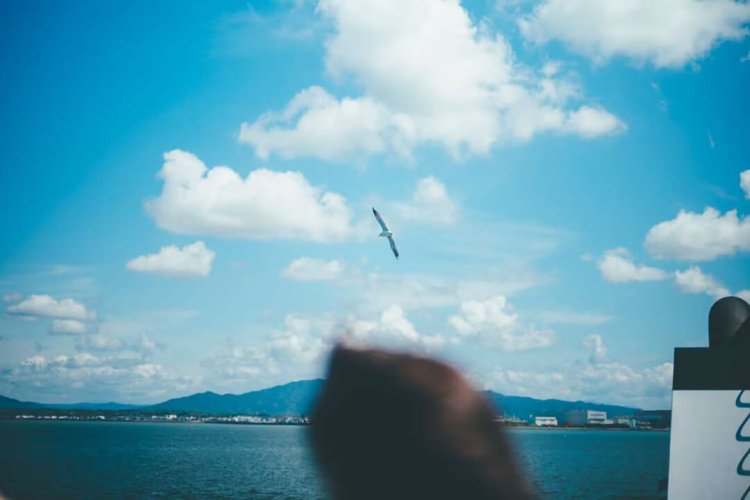 【camell】フェリーで行く、熊本_3