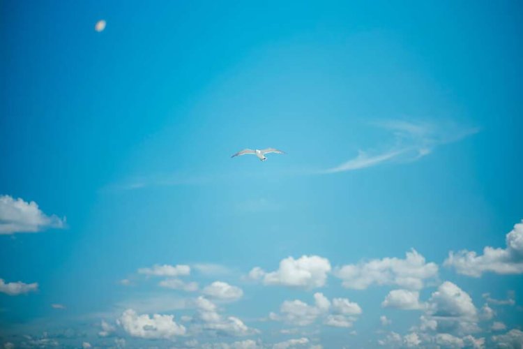 【camell】フェリーで行く、熊本_4