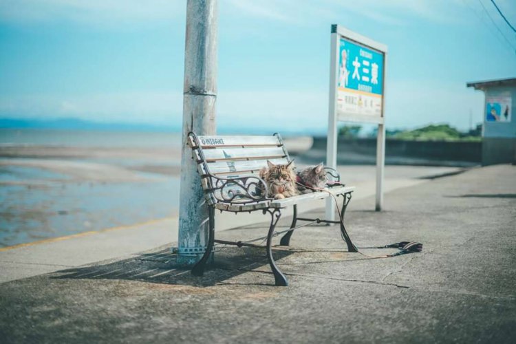 【camell】フェリーで行く、熊本_8