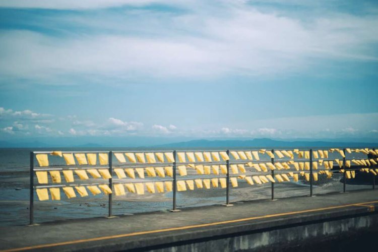 【camell】フェリーで行く、熊本_10