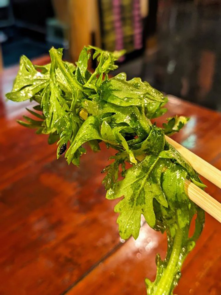 【酒場ナビ】宗平_15