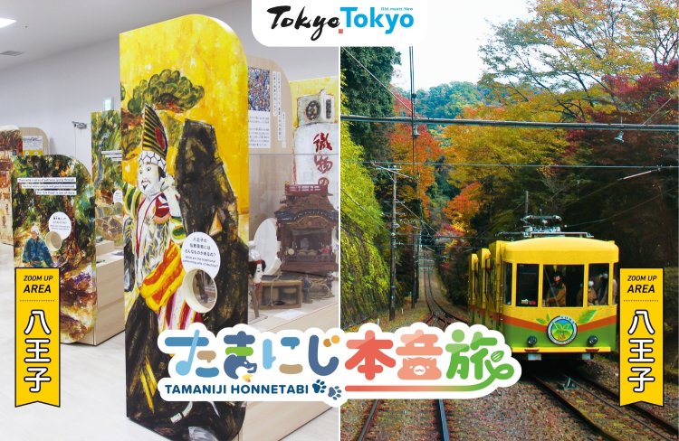 【たまにじ本音旅】桑都日本遺産センター 八王子博物館と高尾山（八王子市）│デジタルラリー8つのチェックインスポットと周辺エリア紹介vol.4