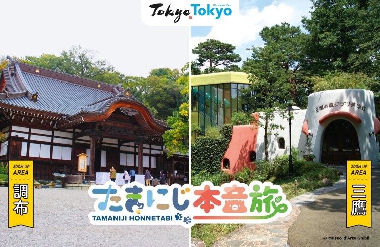【たまにじ本音旅】三鷹市立アニメーション美術館（三鷹市）と深大寺（調布市）│デジタルラリー8つのチェックインスポットと周辺エリア紹介vol.1