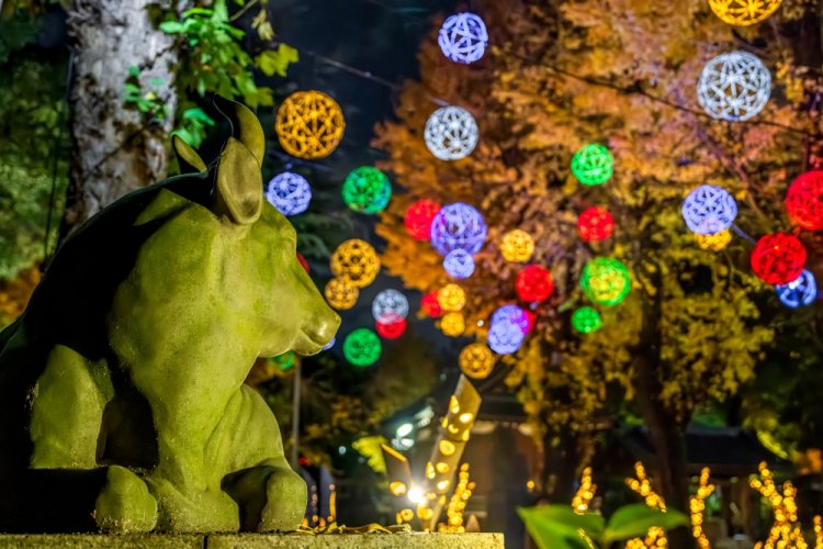 2024年開催時の牛嶋神社の様子。東京スカイツリーをバックに宙に浮かんでいるように見える竹毬はおすすめの撮影スポット。