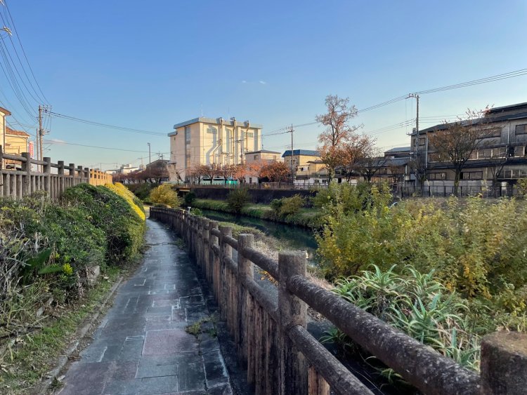 芝川の遊歩道を歩く。