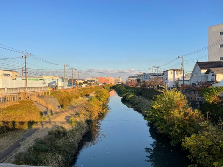 仙元橋から下流を眺める。