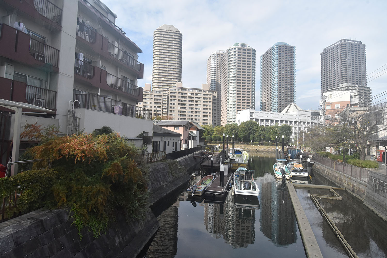 べらぼう佃島5_DSC4570