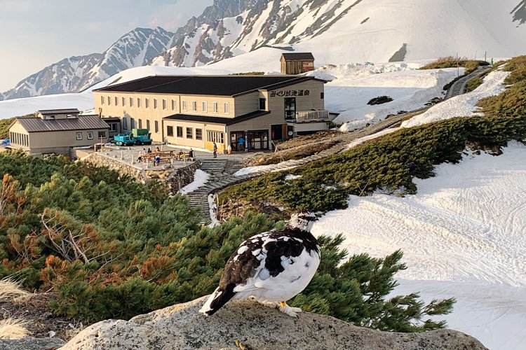 立山黒部アルペンルート上にある『みくりが池温泉』。山の絶景を眺めながら入浴できる。
