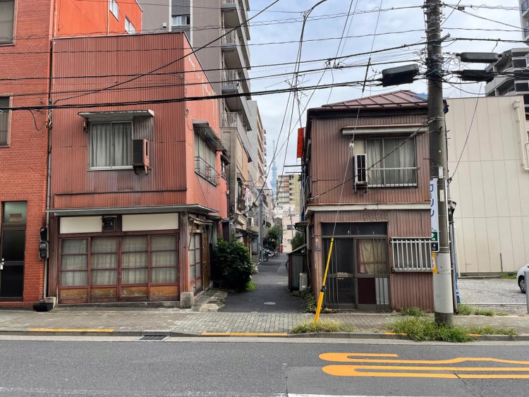 頻繁に顔を出すスカイツリー。もはや「スカツリ」と略したくなる。