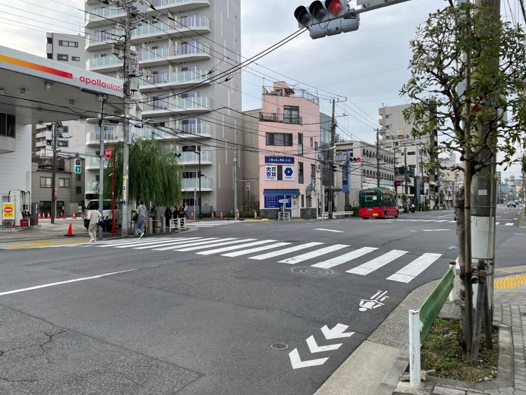 見返り柳の前の横断歩道。土手通り全体が周囲よりも少し高くなっているように見える。