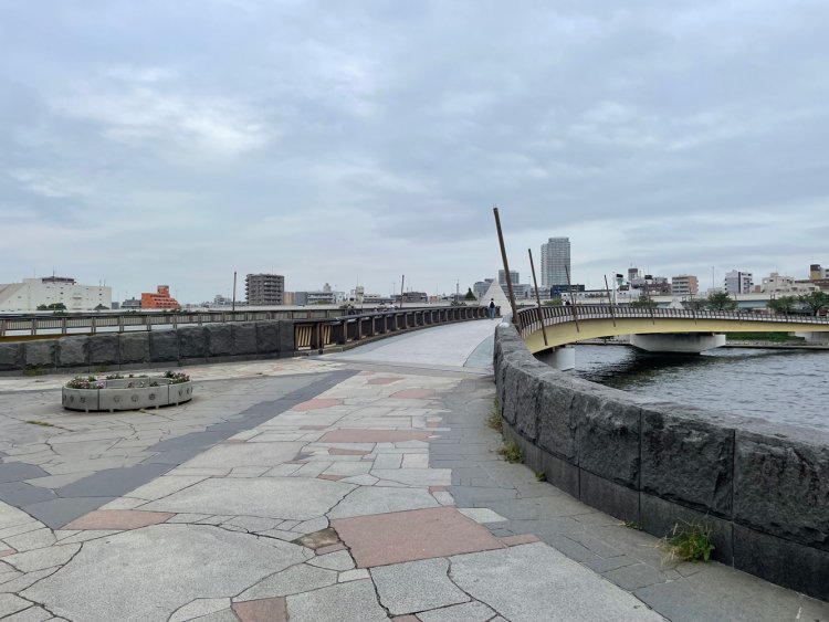 X字状に架かる桜橋。映画『PERFECT DAYS』で役所広司が自転車を漕いでいた場所。