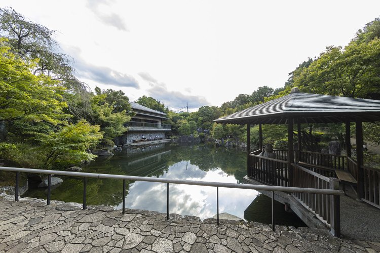池を囲むように園路が配された日本庭園『目白庭園』でひと休み。